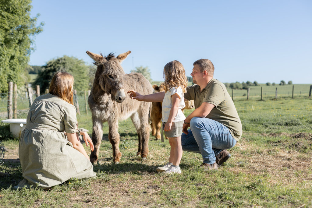 Séance famille et animaux en extérieur province de Luxembourg