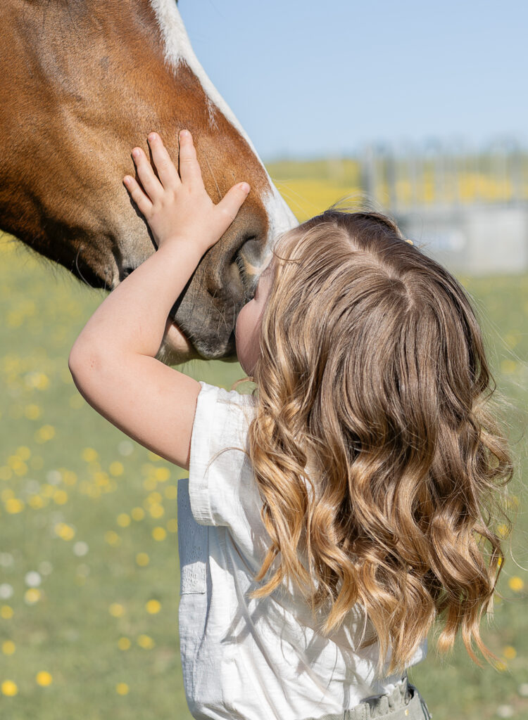 Séance photo animaux en Ardenne — photographe famille province Luxembourg
