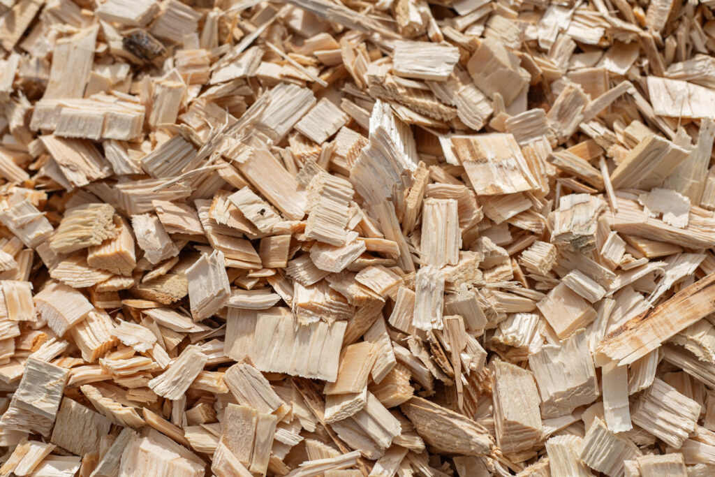 Texture naturelle de copeaux de bois. Photographe indépendant Ardenne